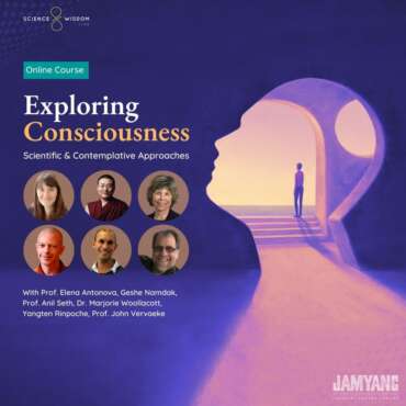 Exploring Consciousness
